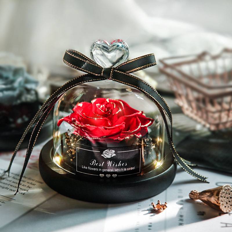 Dried Flowers The Beauty And Beast Eternal Real Rose Home Decor With LED in  Glass – Elegant Gift Store
